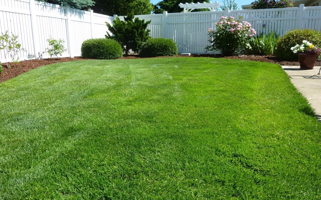 Reimagine outdoor spaces: before and after